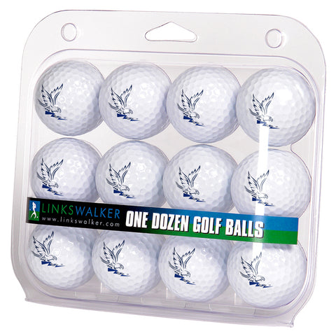 Air Force Falcons 1 Dozen Golf Ball Pack